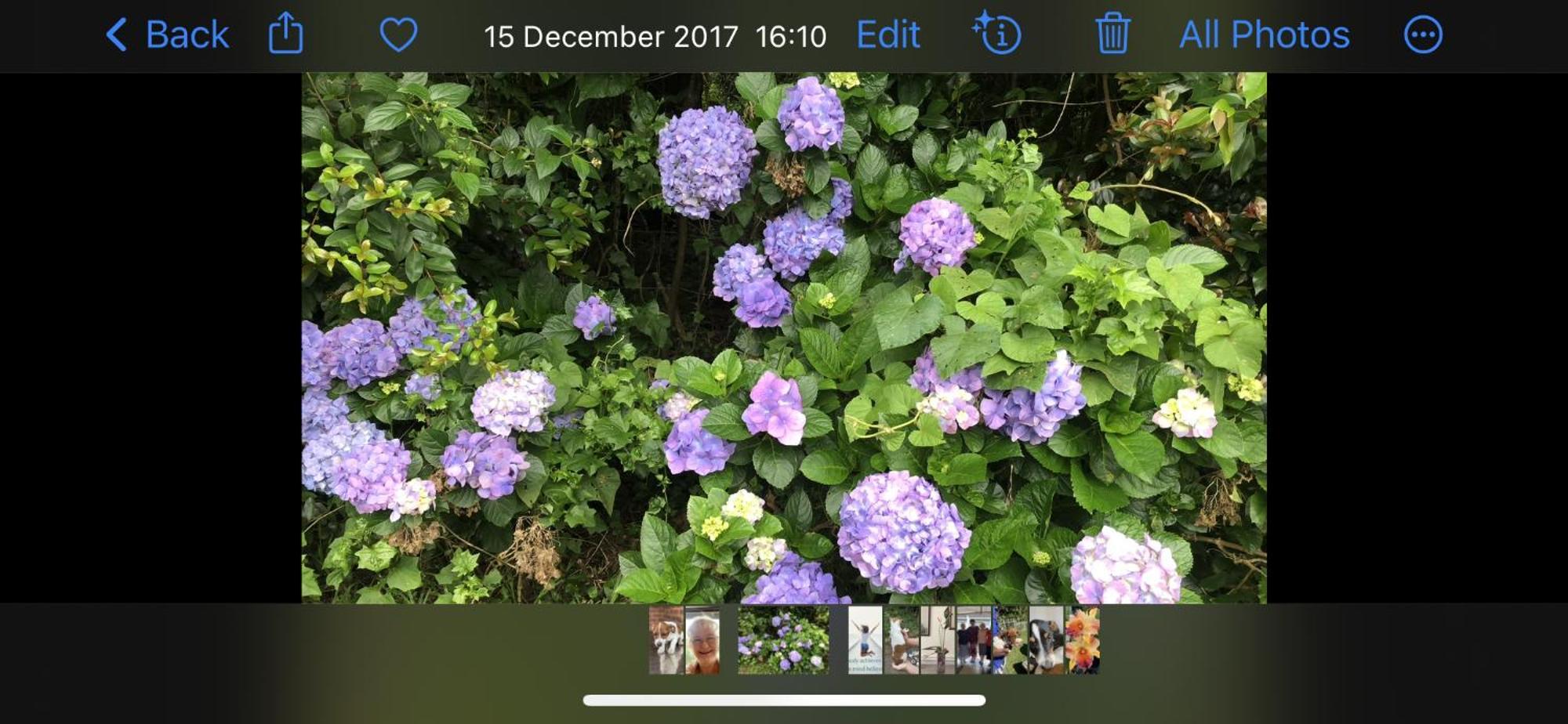 קלוף Le Residence De Josephine מראה חיצוני תמונה